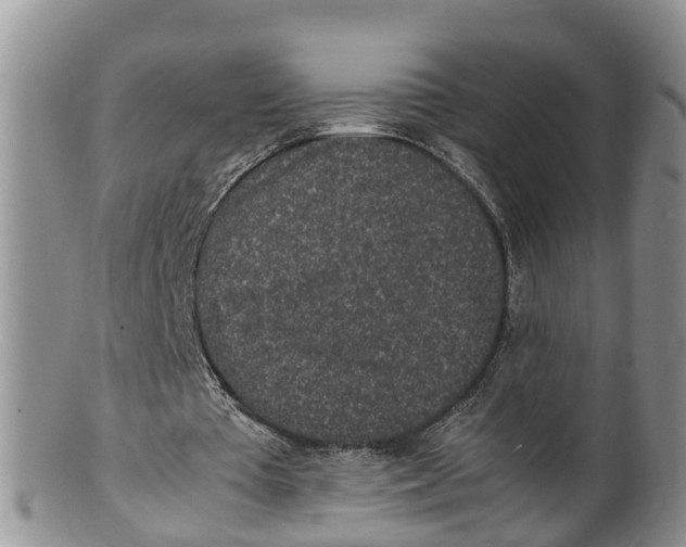 X0000100190385200806201402
