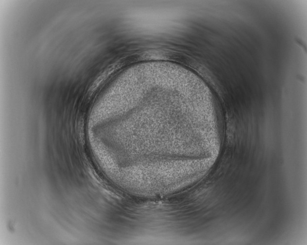X0000100190386200806201402
