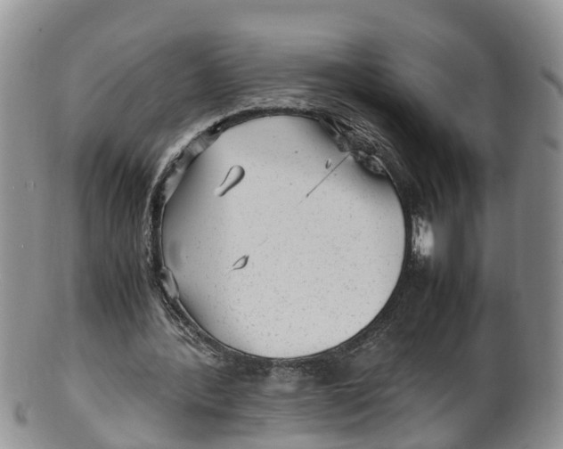 X0000100190388200806201402
