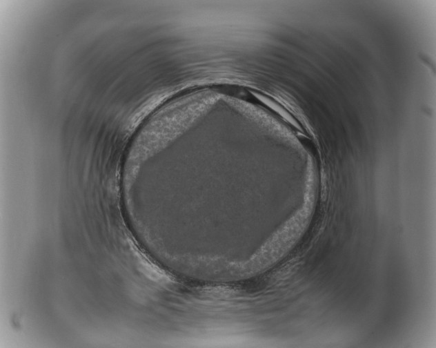 X0000100190389200806201402