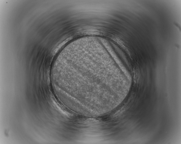 X0000100190390200806201402