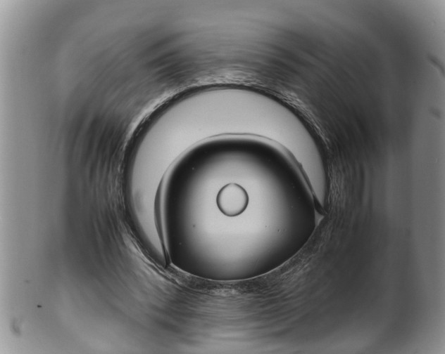 X0000100190392200806201402