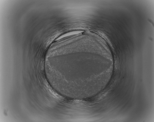 X0000100190393200806201402