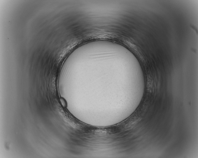 X0000100190394200806201402