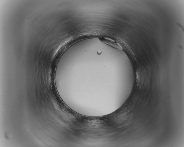 X0000100190396200806201402