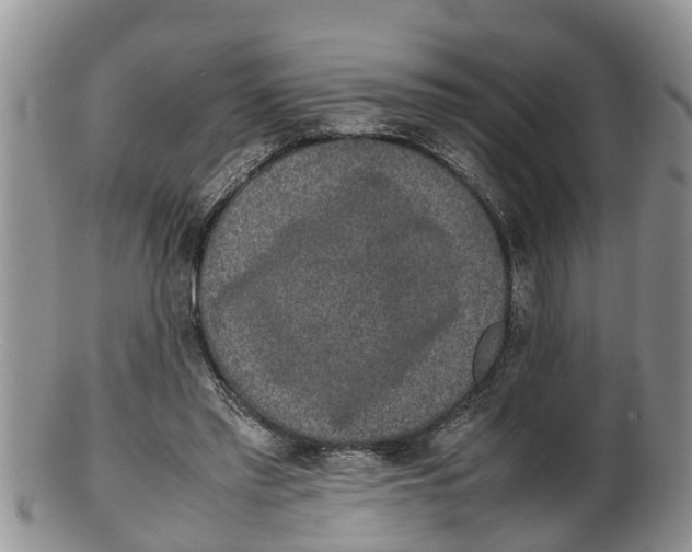 X0000100190397200806201402