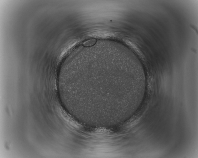 X0000100190399200806201402