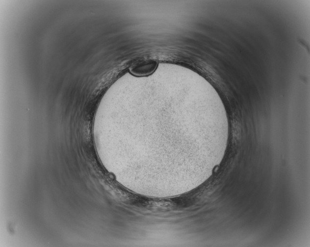 X0000100190401200806201402