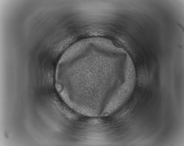 X0000100190402200806201402