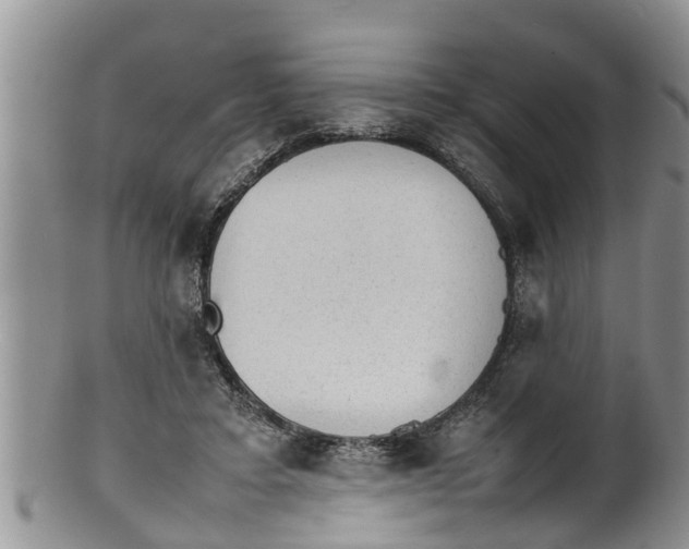 X0000100190403200806201402