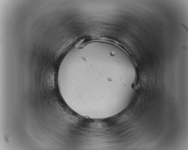 X0000100190404200806201402
