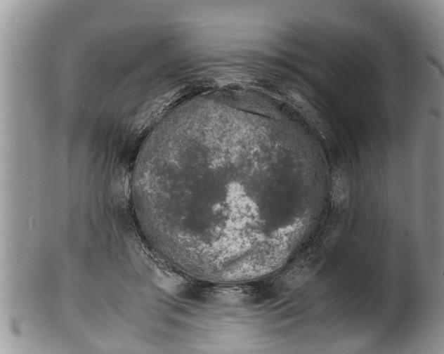 X0000100190405200806201402