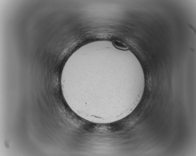 X0000100190407200806201402