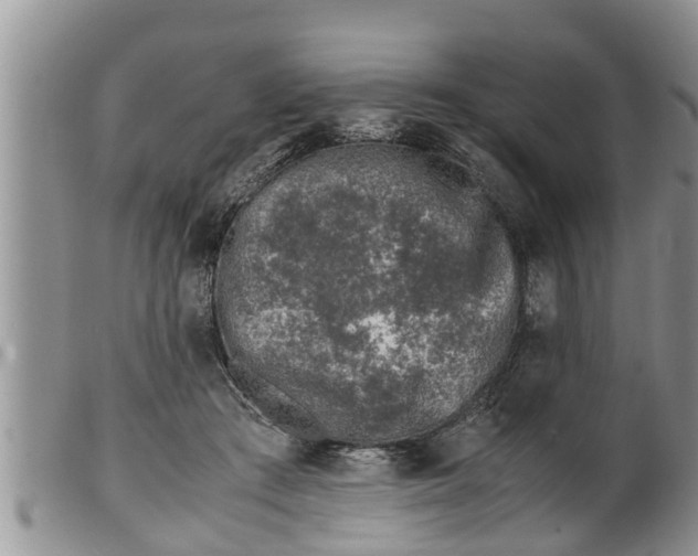 X0000100190409200806201402
