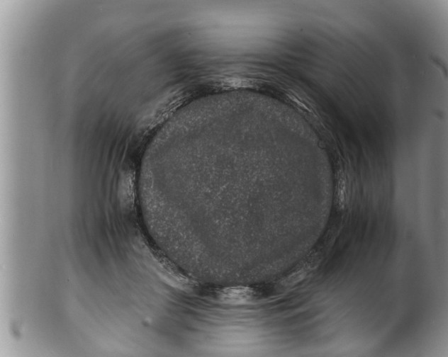 X0000100190410200806201402