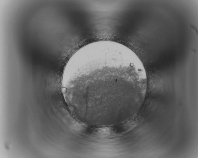 X0000100190411200806201402
