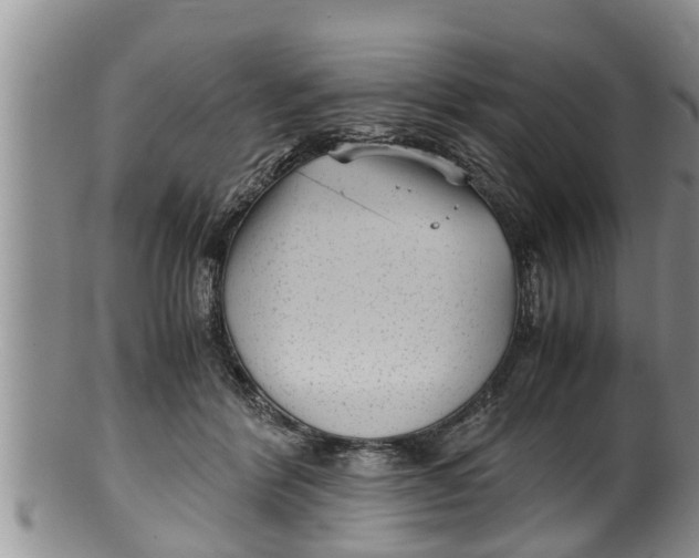 X0000100190412200806201402