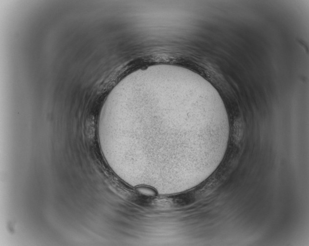 X0000100190413200806201402