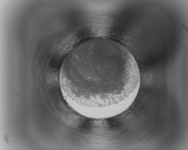 X0000100190415200806201402
