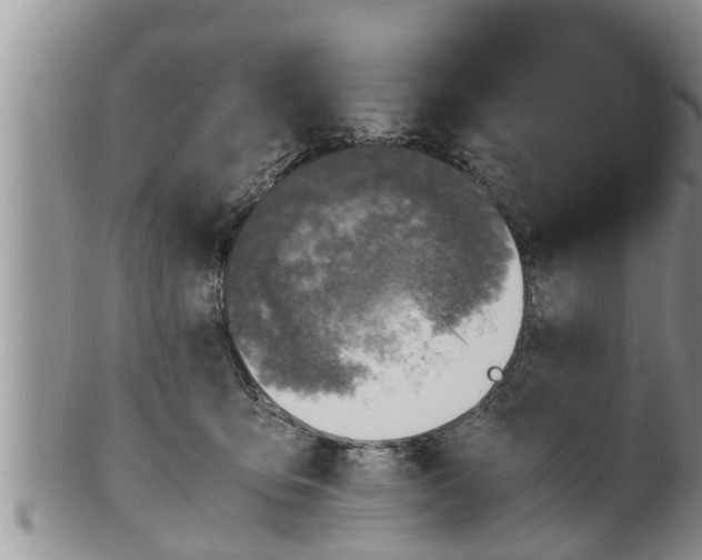 X0000100190419200806201402