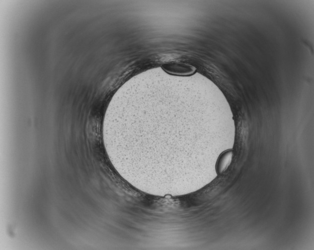 X0000100190421200806201402