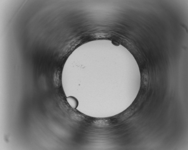 X0000100190422200806201402