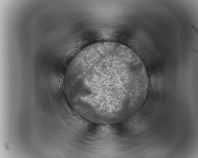 X0000100190423200806201402