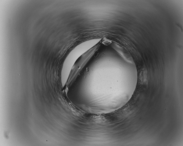 X0000100190424200806201402