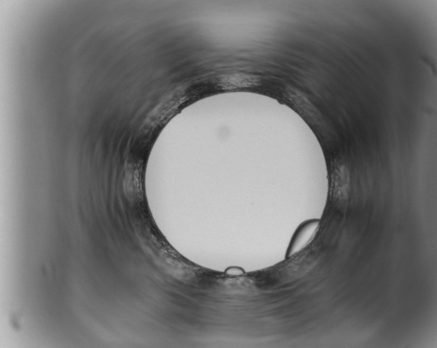 X0000100190426200806201402