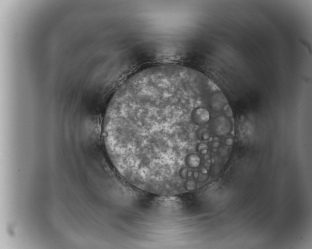 X0000100190427200806201402