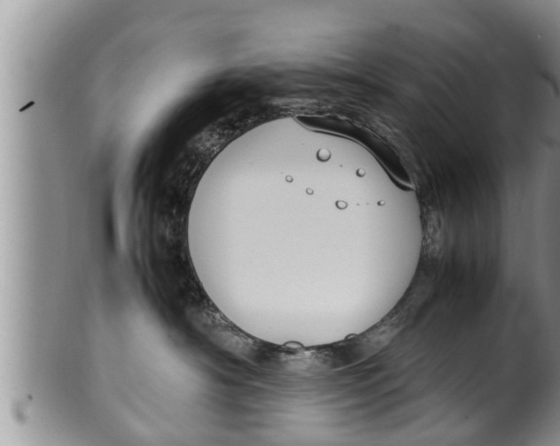 X0000100190430200806201402