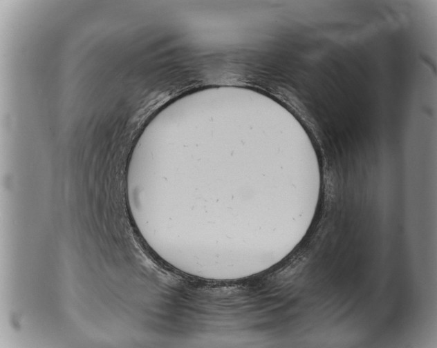 X0000100190433200806201401