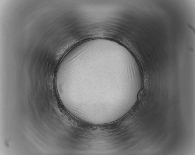 X0000100190434200806201401