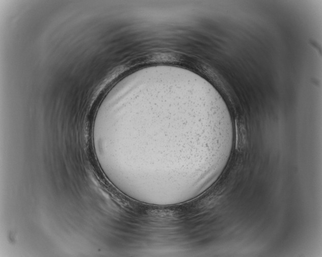 X0000100190435200806201401