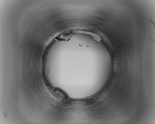 X0000100190436200806201401