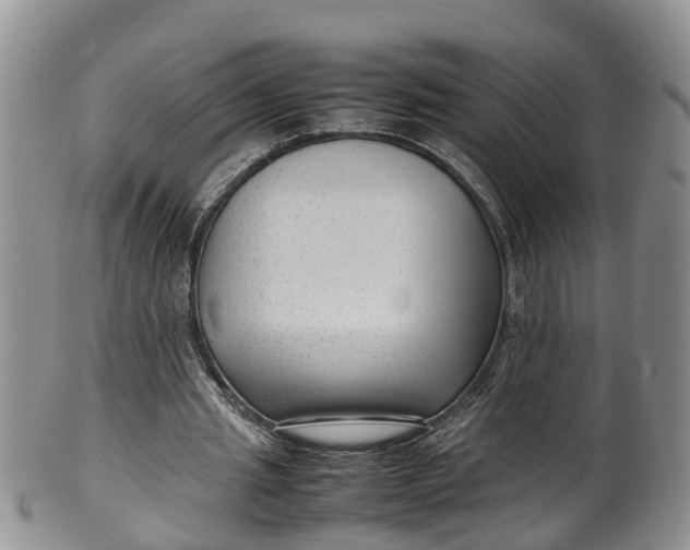 X0000100190437200806201401