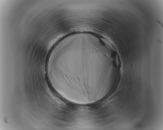 X0000100190438200806201401