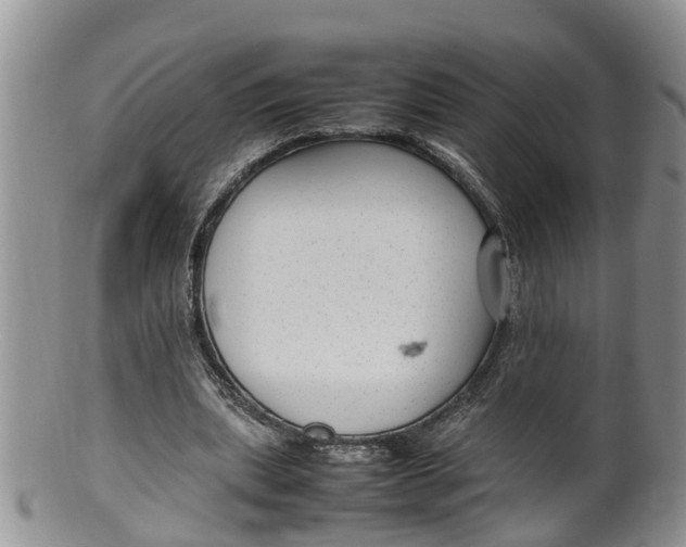 X0000100190439200806201401