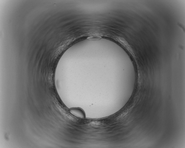 X0000100190441200806201401