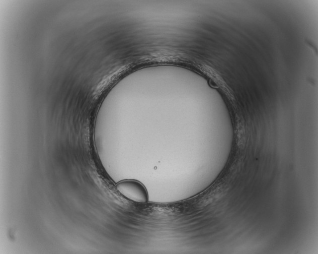 X0000100190442200806201401