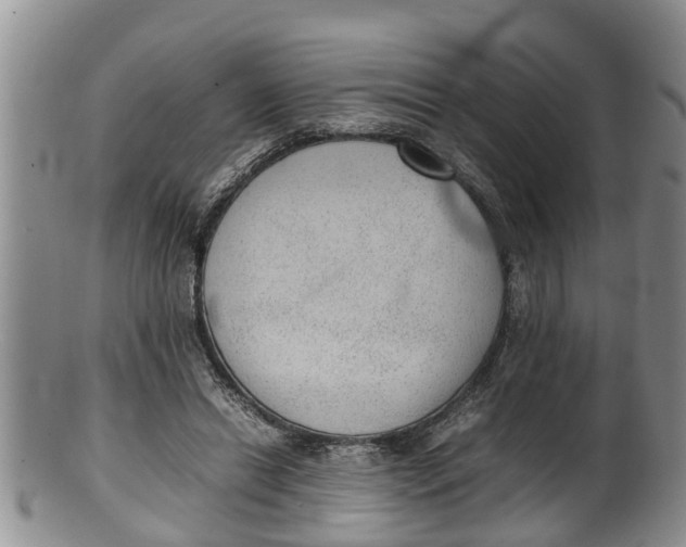 X0000100190446200806201401