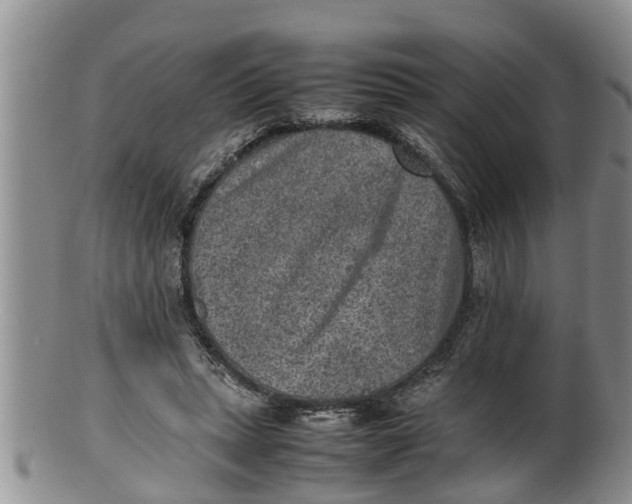 X0000100190447200806201401