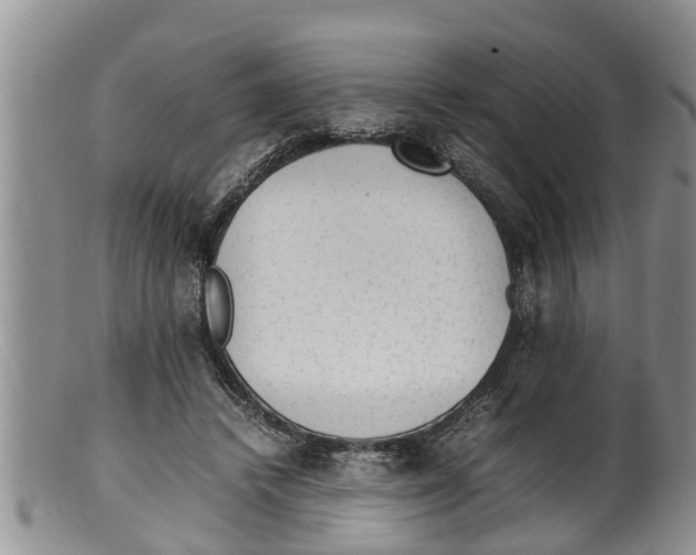 X0000100190448200806201401