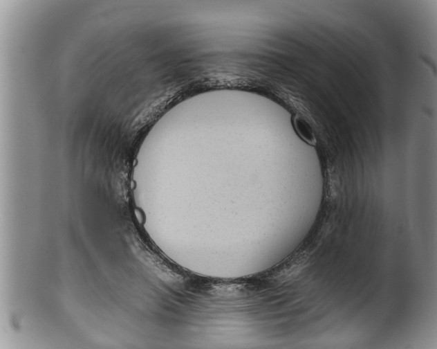 X0000100190450200806201401