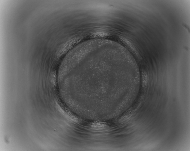X0000100190451200806201401