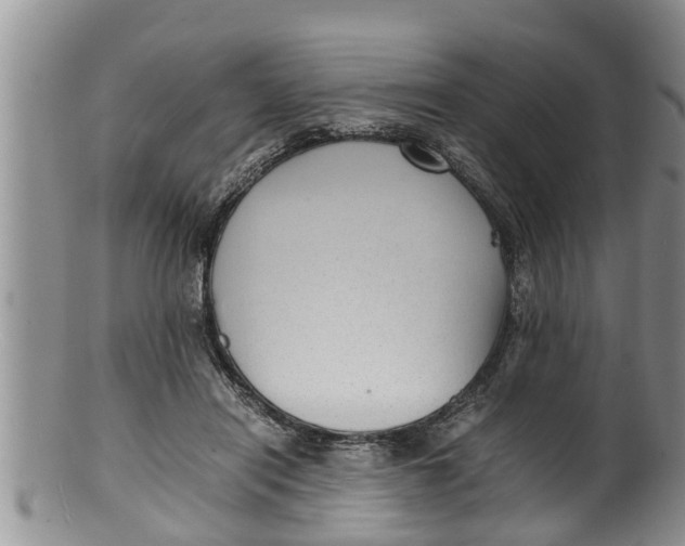 X0000100190454200806201401