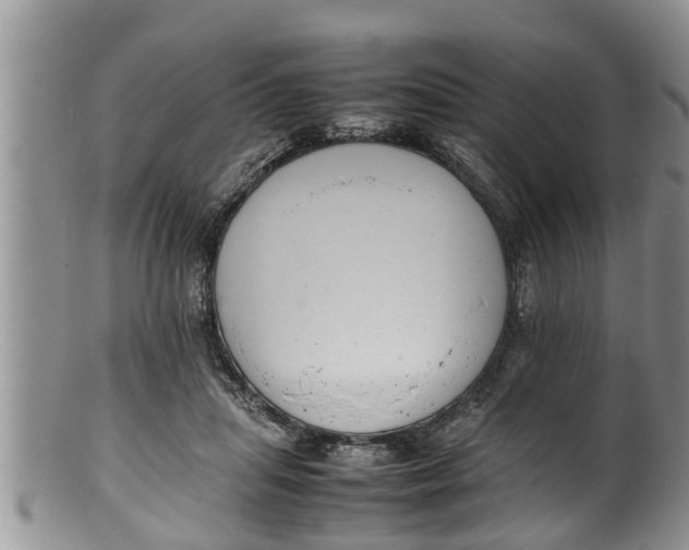X0000100190455200806201401