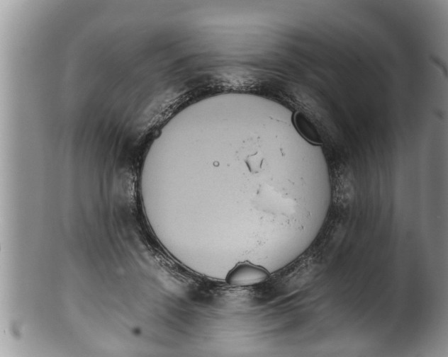 X0000100190456200806201401