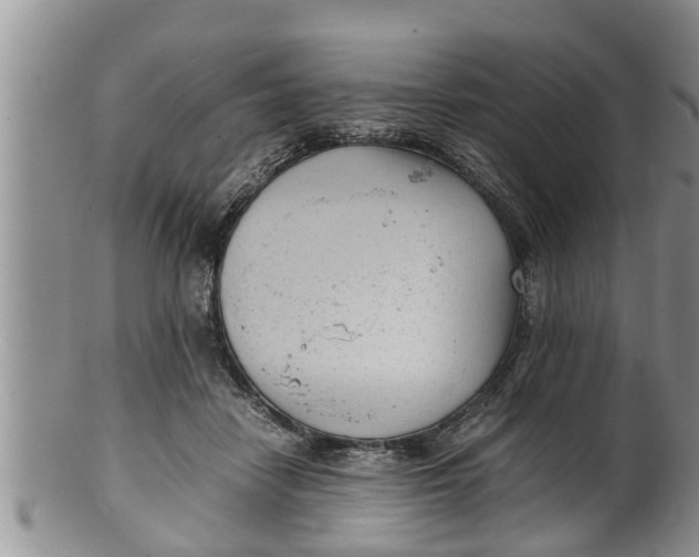 X0000100190458200806201401