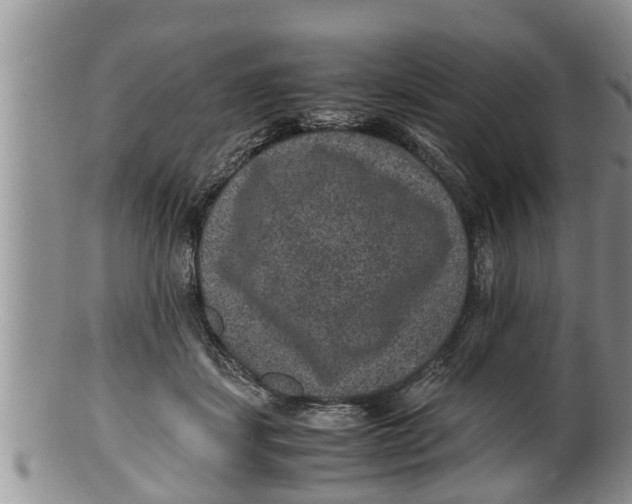 X0000100190459200806201401